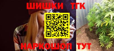 винт Партизанск