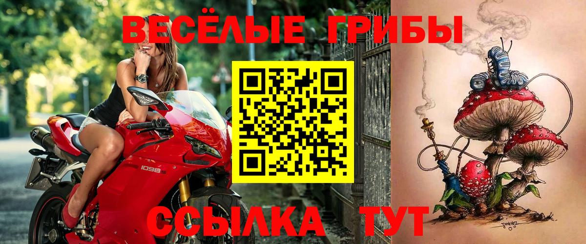 Ялуторовск  Псилоцибиновые грибы GOLDEN TEACHER  Вход с VPN 