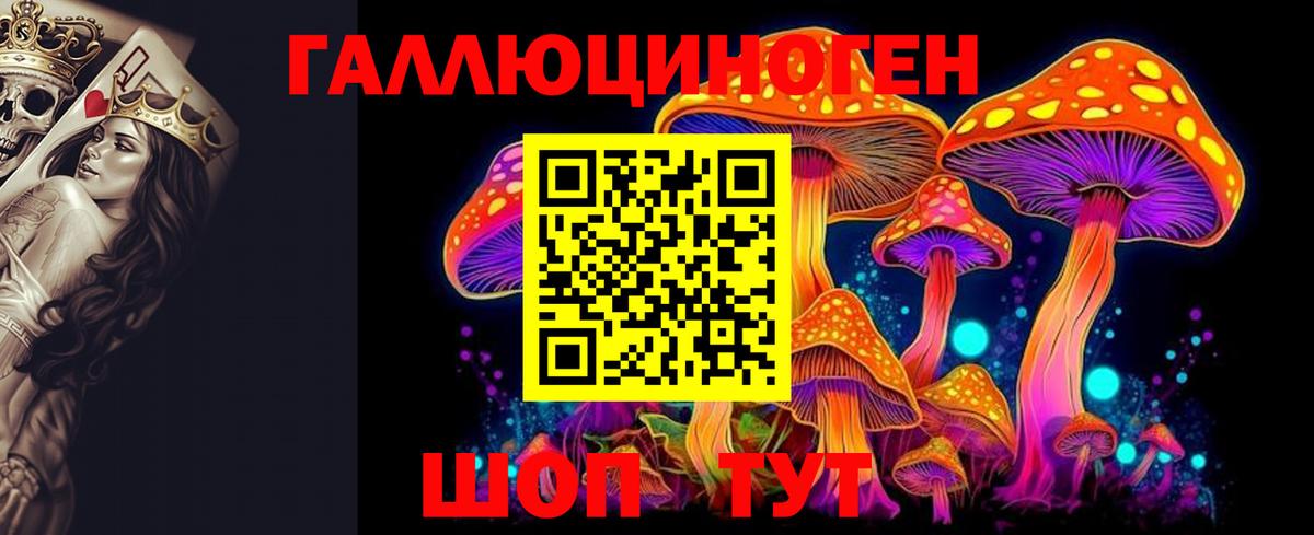 Псилоцибиновые грибы Psilocybe Ялуторовск